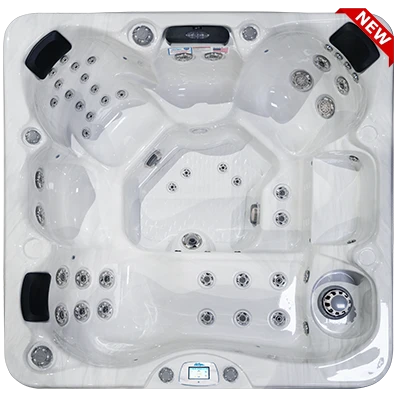 Avalon-X EC-849LX hot tubs for sale in Bayonne
